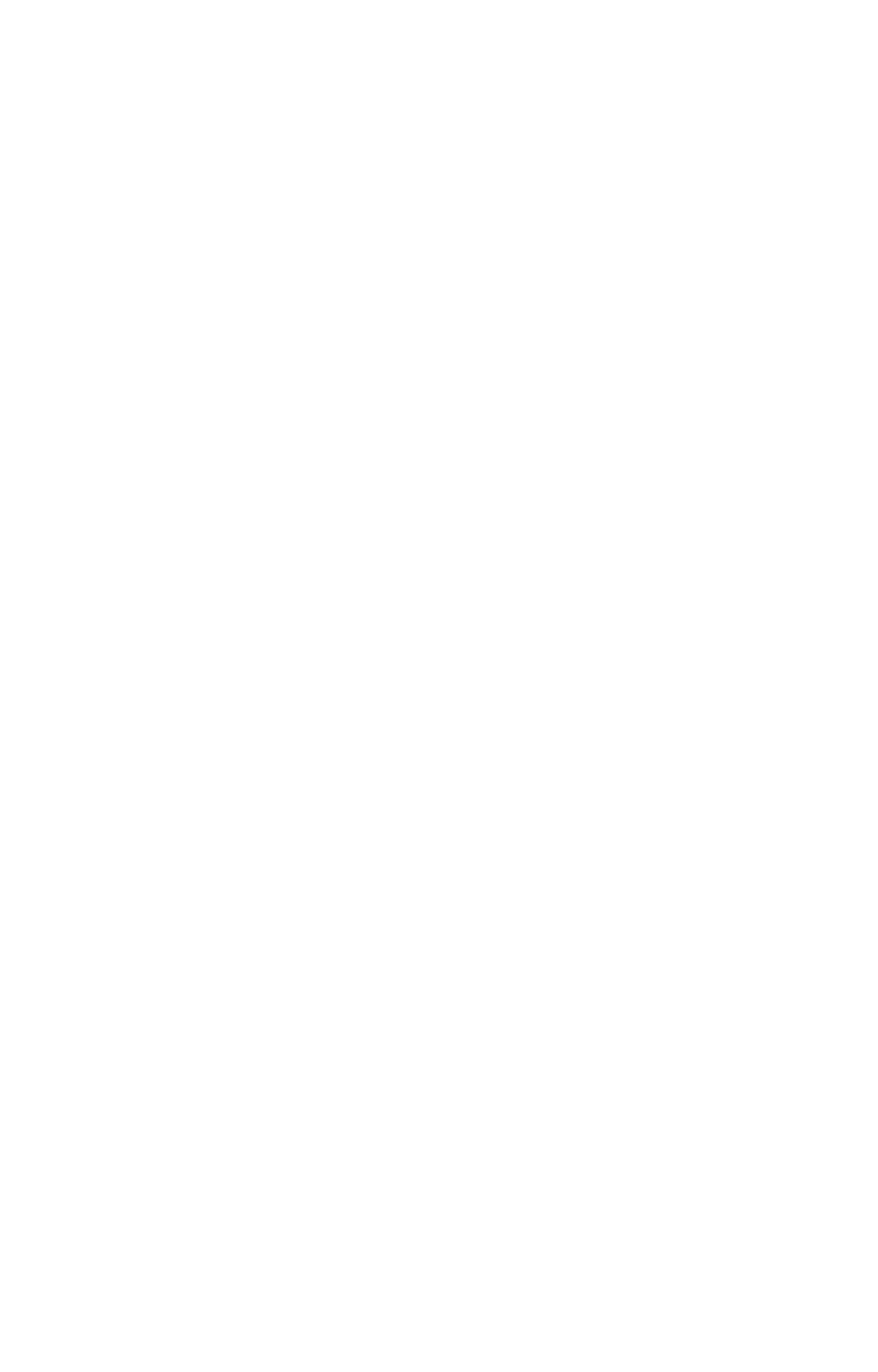 Explorer Paws Veterinaria